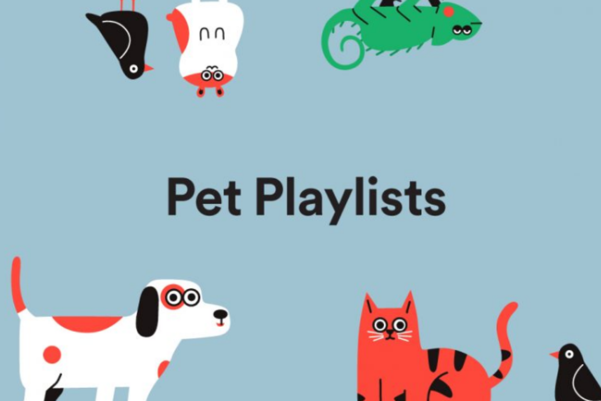 pet playlist